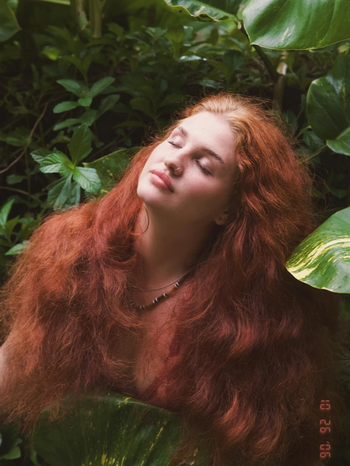 Overhead close portrait of Daria lying back in dense tropical foliage, eyes closed, freckled face tilted up, waves of deep auburn hair fanned across glossy green monstera and pothos leaves
